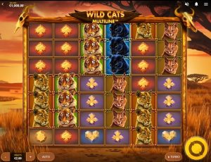 Dagliga jackpottspelet Wild Cats Multiline!