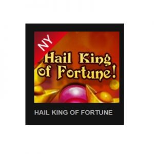 Färska slotsspelet Hail King of Fortune!